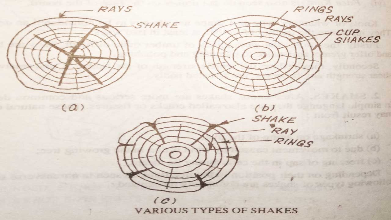 defects-of-timber