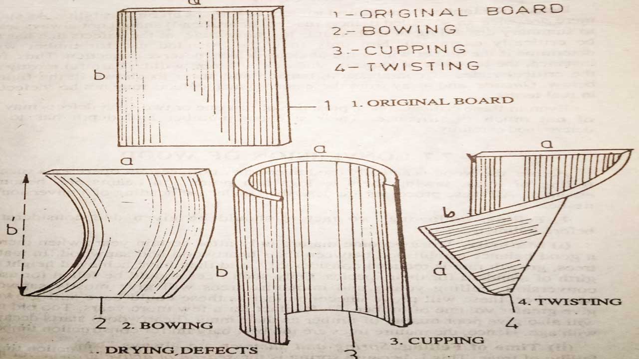 seasoning-defects-in-timber