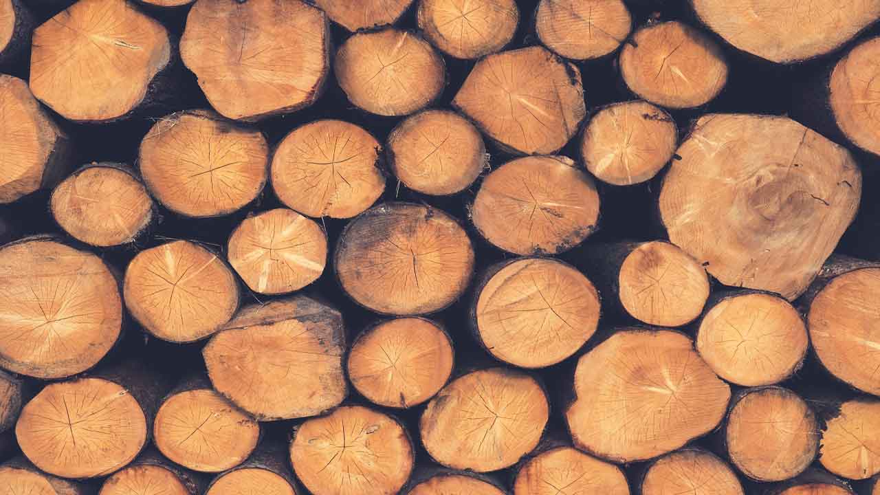 seasoning-of-timber-and-wood-its-methods-objectives