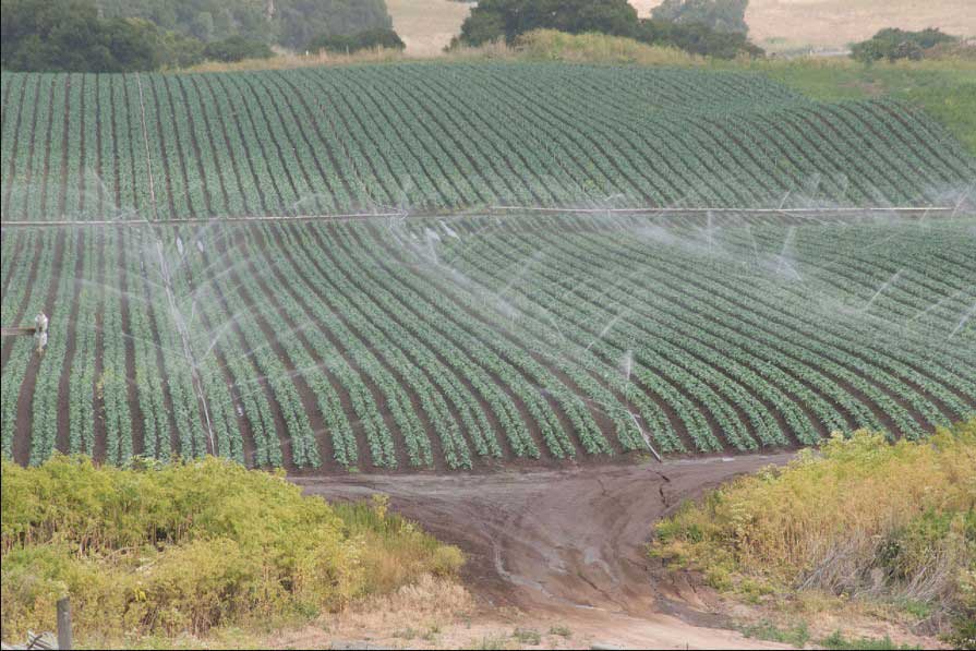 irrigation-methods