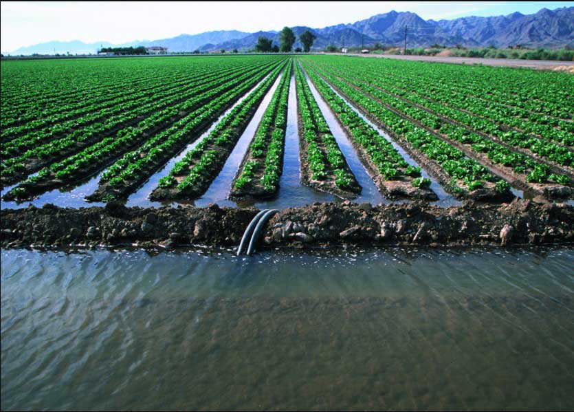 methods-of-irrigation