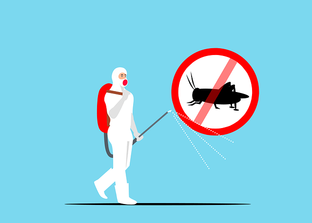 pest control for bugs